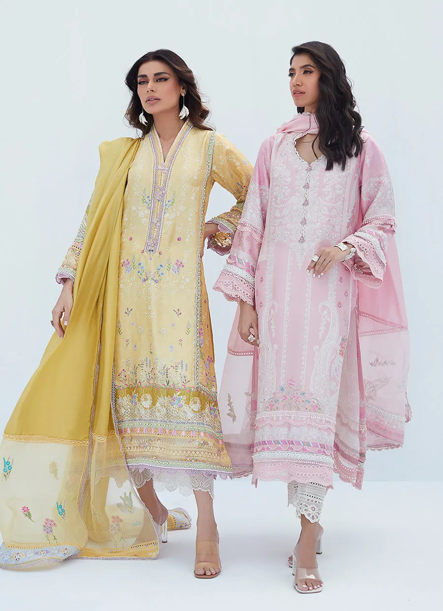 Aerin Blush Shirt And Dupatta