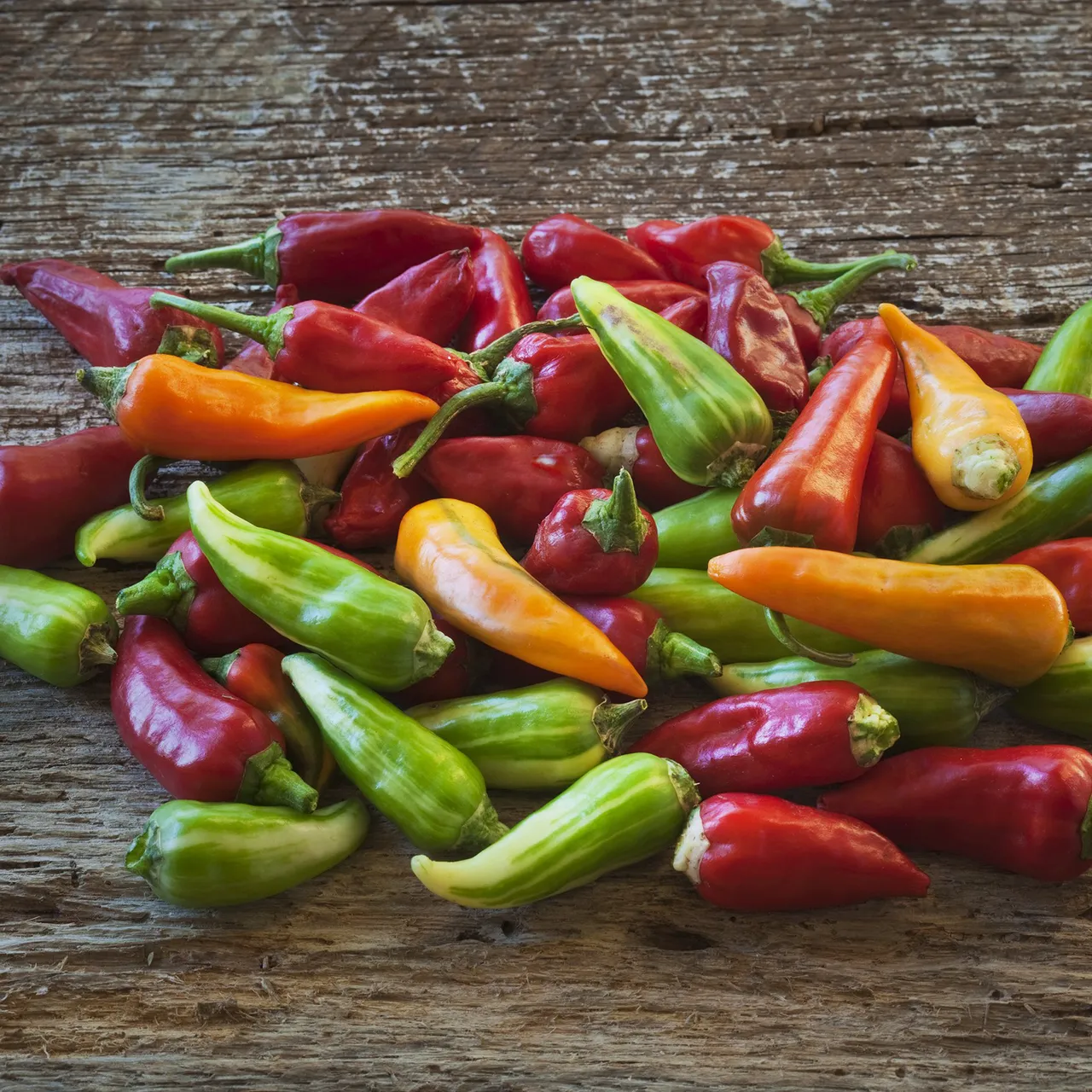 Fish Pepper Seeds (Capsicum annuum)