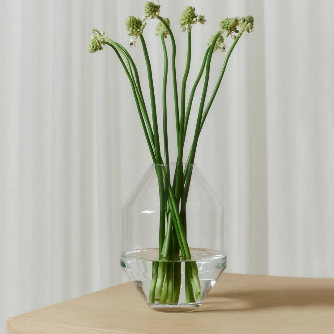 Hydro Vase