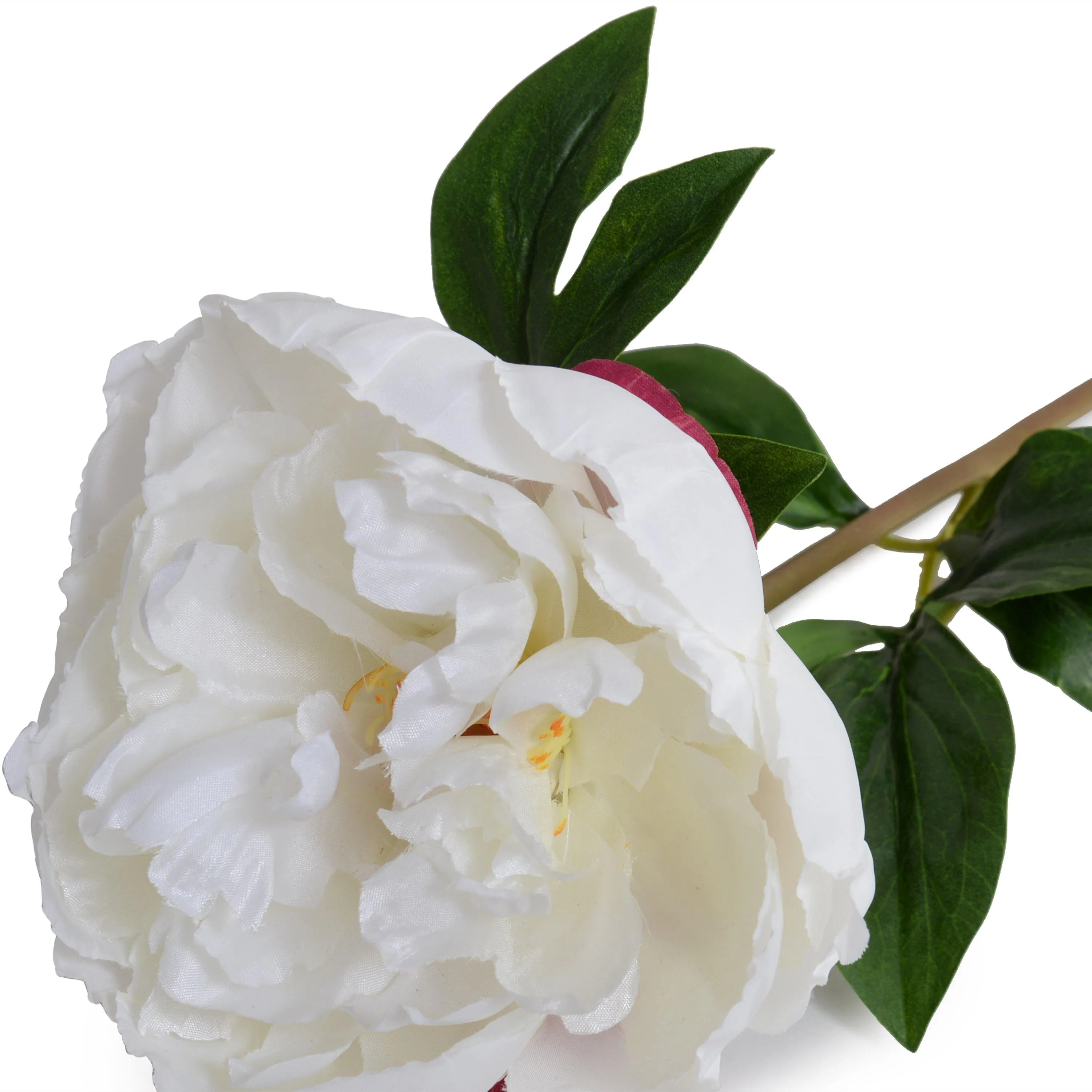 Peony Stem with Leaves, 21" -White