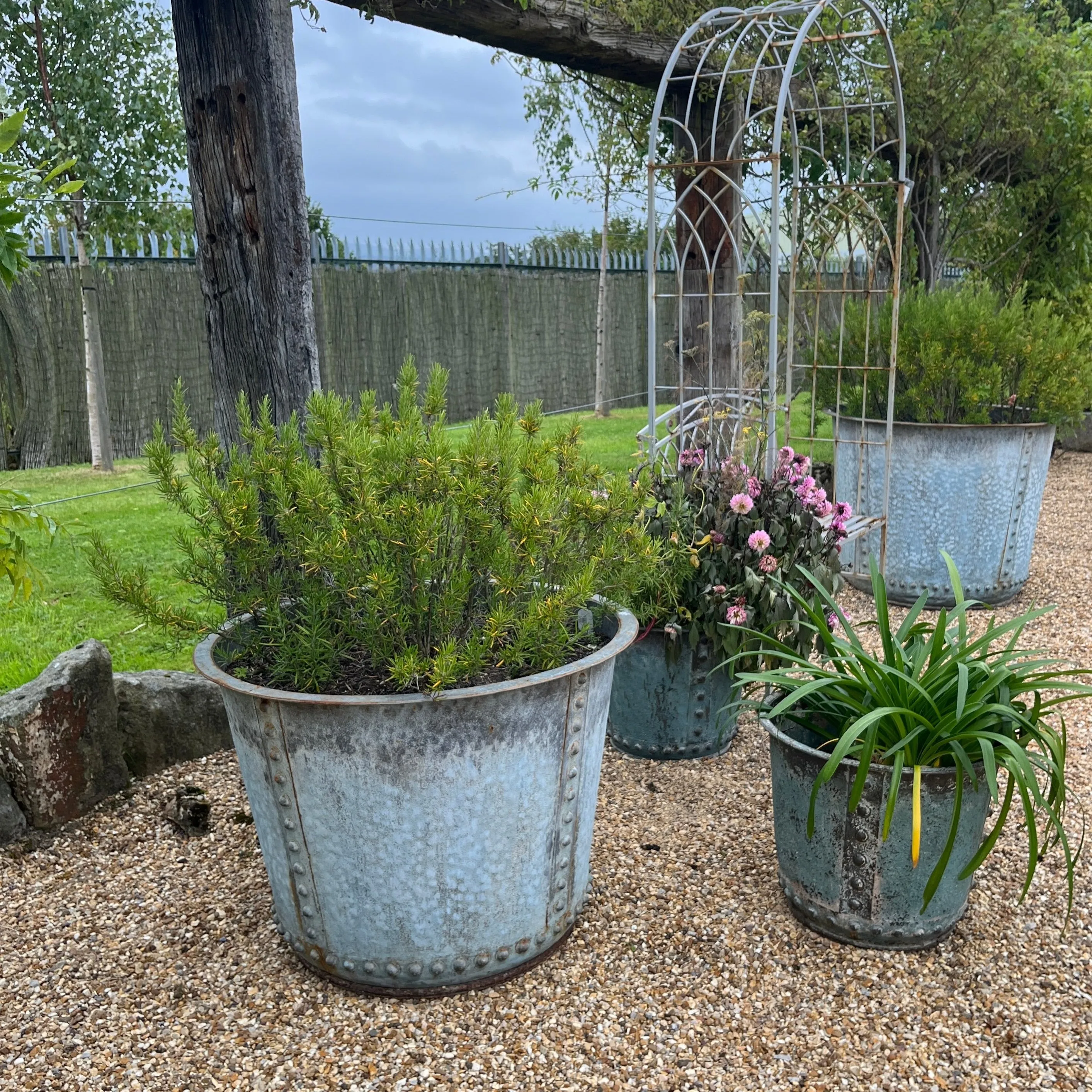 Rustic Verdigris Studded Iron Planter