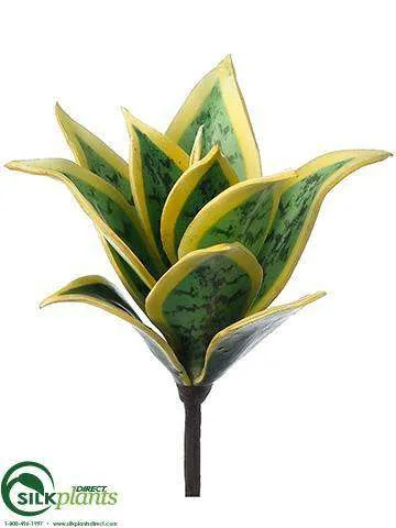 Silk Plants Direct Agave Plant - Green Cream - Pack of 24